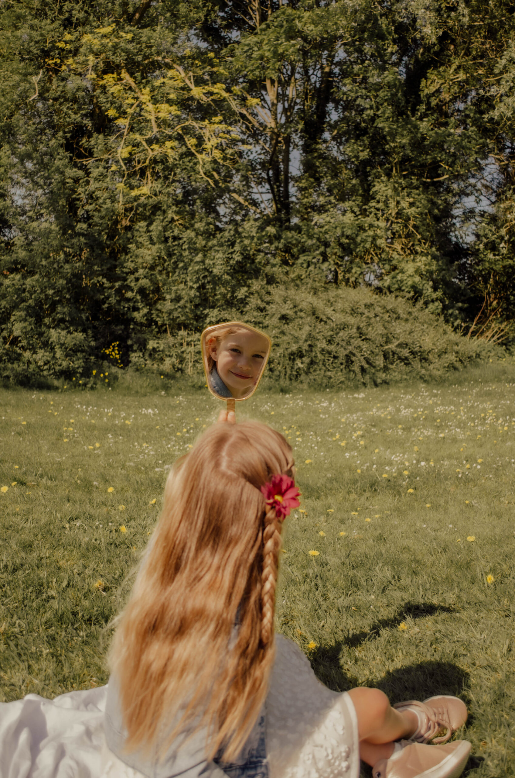 Image Alt